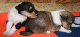 bild6