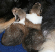 bild8