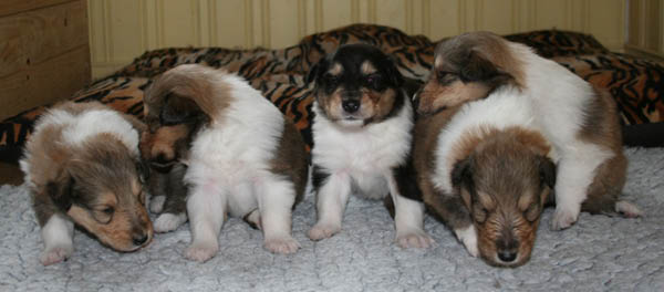 bild1