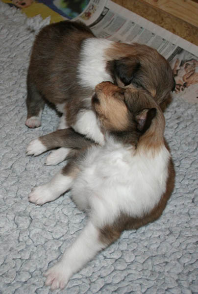 bild4