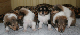 bild1