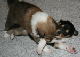 bild2