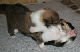bild3