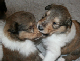 bild5