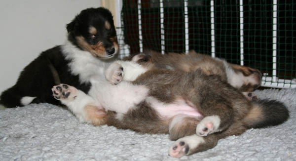 bild1