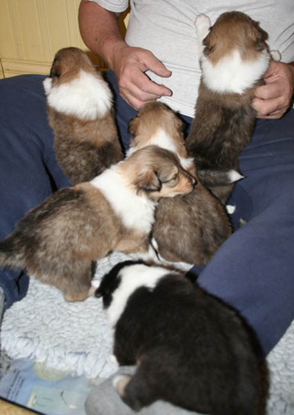 bild2