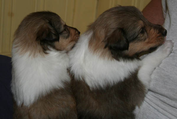 bild3