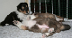 bild1