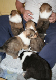 bild2