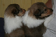 bild3