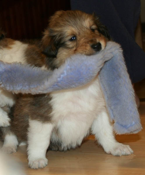 bild12