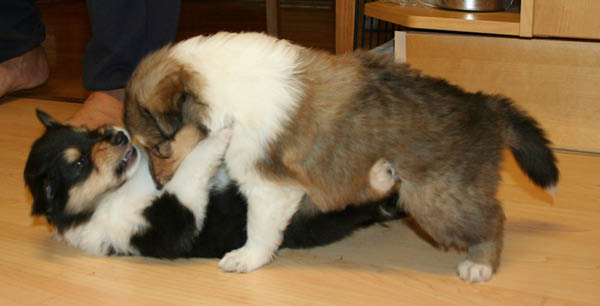 bild14