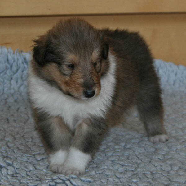 bild4