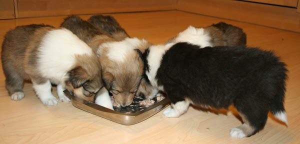 bild5