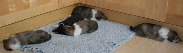 bild6