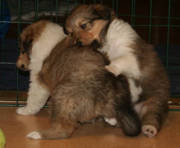 bild9