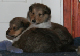 bild1