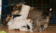 bild10