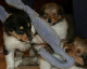 bild11