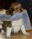 bild12