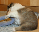 bild13