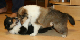 bild14