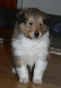 bild2