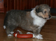bild3