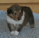 bild4