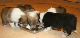 bild5
