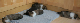 bild6