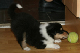 bild7