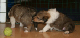 bild8