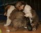 bild9