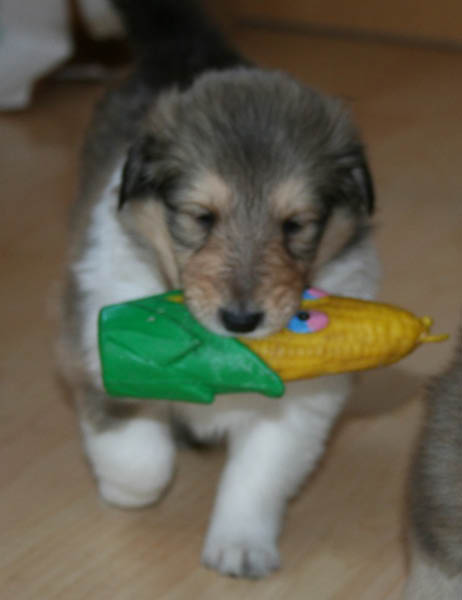 bild1