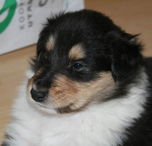 bild3