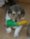 bild1