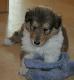 bild2