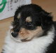 bild3