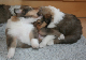 bild4