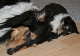 bild5