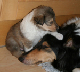 bild6