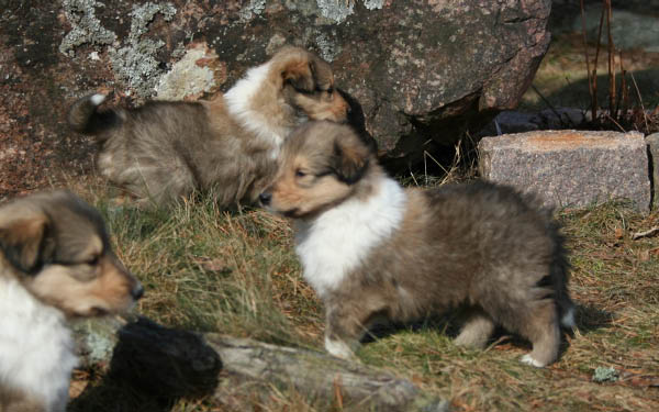 bild11