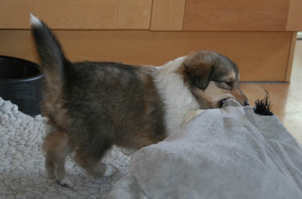 bild14