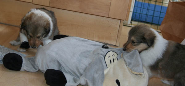 bild15