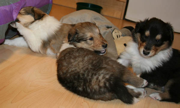 bild17