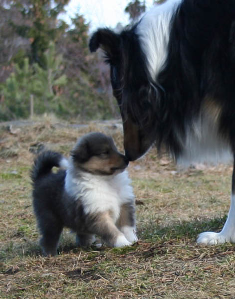 bild3