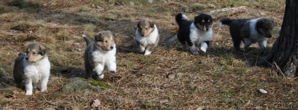 bild8