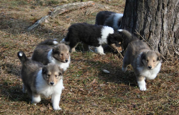 bild9