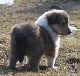 bild1